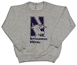 Northwestern Wildcatsロゴユースグレークルーネックスウェットシャツ カラー: グレー