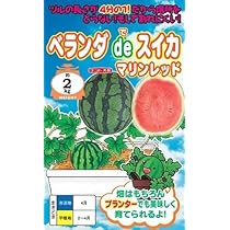 Amazon.co.jp: 〈小袋〉小玉スイカ種【 ピノ・ガール 】ナント