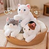 リアル 猫のぬいぐるみ ひざねこ 抱き枕 ネコ ねこ 可愛い 癒し猫 おもちゃ ねこグッズ ネコ雑貨 動物 贈り物 子供 誕生日 クリスマス 誕生日 プレゼント ギフト (50cm, NO.001)