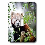 3drose Sven Herkenrath動物 – レッドアジアPanda Bear in the Free Nature Wildlife – 照明スイッチカバー – シングルトグルスイッチ( L