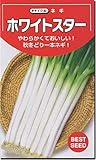 ネギ 種子 ホワイトスター 一本葱 1dl ねぎ