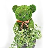 ほんまもん屋 アニマルトピアリーモス (くま)