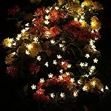 太陽文字列ライト、womail 5 M 20のLEDフローラルGarlandsランプクリスマスツリー、庭、パティオ、庭、ホーム、パーティ 5M 60722454