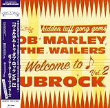 ウェルカム・トゥ・ダブロック2 [初回限定生産][帯付き] [Analog]
