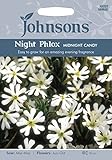 PM 英国ジョンソンシード Plantmans's Garden Night Phlox Midnight Candy プランツマンズ・ガーデンズ・ナイト・フロックス・ミッドナイト・キャンディ