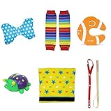 ラヴィギフト6点セットクッション ブルー レインボー クマノミ 昆虫A 腹巻イエロースター ホルダーレインボー lv-g04-28