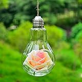 LuxBene(TM) ガラスの花瓶バルブランプの形の花水工場は高速配送D6を花瓶コンテナホーム屋内オフィスの結婚式の装飾を吊るします