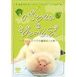 Amazon Co Jp パンくんとジェームズ Dvd Dvd ブルーレイ 宮沢厚