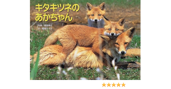 キタキツネのあかちゃん 親と子の写真絵本 3 結城 モイラ 本 通販 Amazon