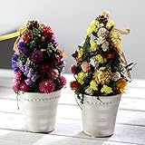 クリスマスフラワーツリー　ドライフラワー　ボルドーカラー　ギフト