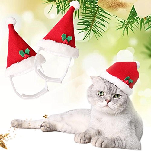 トトハウス(TOTO HOUSE)ペット 犬 猫 用 クリスマス 帽子 かわいい お祝い アクセサリー サンタ帽 犬 トトハウス(TOTO HOUSE)ペット 犬 猫 用 クリスマス 帽子 かわいい お祝い アクセサリー サンタ帽 犬
