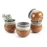 T4U 2.75 インチ 陶器鉢 サマートリオ NO.2 多肉植物 サボテン鉢 フラワーポット プランター容器 黄 4個入り
