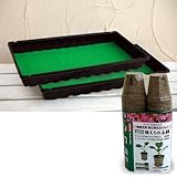 ジフィーポット丸型5.5cm 80個とジフィーベーストレー2枚のセット[種まき・育苗セット] ノーブランド品