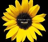 �T���i���z�[������