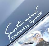 Ｓｐｏｒｔｓ ｍｉｎｄ 車 バイク ステッカー デカール シール 汎用 サイド ドレスアップ スポーツマインド sports mind 全8カラー 5サイズ (光沢シルバー, SSサイズ 14×4.8cm)