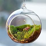 ミニクリアボール形状ハンギングガラス花瓶花植物マイクロ風景ボトル