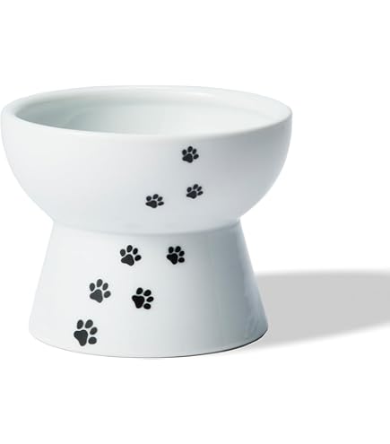 Amazon | 猫壱(necoichi)ハッピーダイニング 猫用 脚付フードボウル L