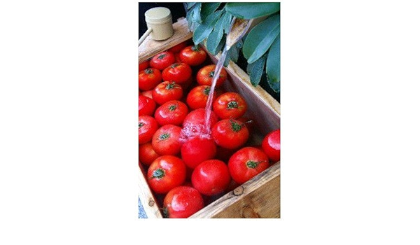 Amazon ポストカード トマト Photo By水橋正英 ポストカード えはがき絵葉書postcard ポストカード 絵柄付はがき 文房具 オフィス用品