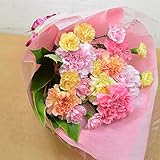 [エルフルール]生花 母の日 カーネーション 花束 (カラーミックス)