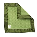 スワドルデザインズ 安心毛布 ベビーラビー ジュエル ピュアグリーン 1枚セット SD-167PG 【日本正規品】