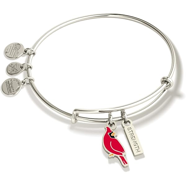 Amazon | Alex and Ani Wings of Protection チャームバングル。, One