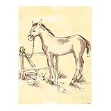 Joy Carpets Kid Essentials Active Play & Juvenile Lil' Explorer Rug Multicolored 5'4 x 7'8 [並行輸入品]