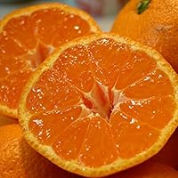 みかん 小玉 産地直送 和歌山 【訳あり】 みかん 小玉 中玉（3S〜Mサイズ）５ｋｇ（傷あり、サイズ不揃い、ご自宅用)　【固定サイズになる場合あり】