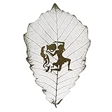 MagiDeal 12スタイルクリエイティブ自然Real Dried Leaves Flower Leaf Carvingアートホーム装飾 0021002310045ESA