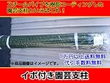 イボ付き園芸支柱 11mm×1500mm （100本入り）