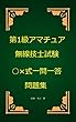 第1級アマチュア無線技士試験○×式一問一答問題集