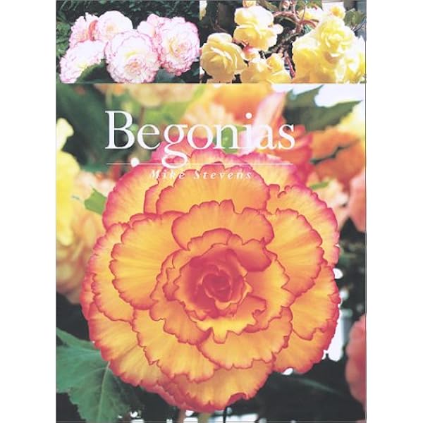 洋書 Begonias: The complete reference guide 81j8eJZstoL._UF350,350_QL80_.jpg