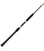 ペン スピンフィッシャー PENN SPINFISHER VI 5500 美品 Penn Spinfisher Custom 550SS ペン・スピンフィッシャー550SS