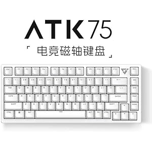 VXE ATK75 L版 ホワイト | Geartics