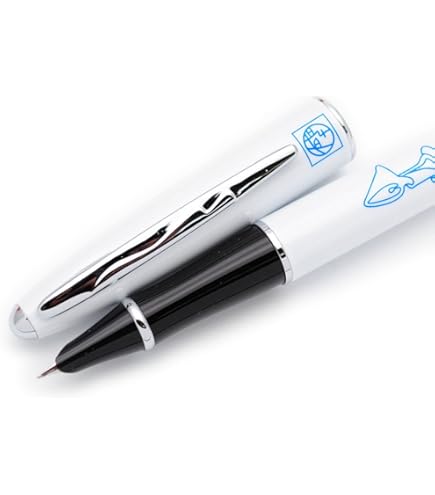 ピカソコレクション（ PICASSO ART COLLECTION ）万年筆 Amazon.com : Picasso 902 Gentleman Collection Fountain Pen