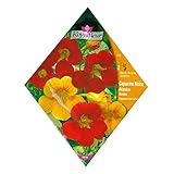 [春・秋まき 花タネ][フランス花の種]ナスタチューム：アラスカドワーフミックス（斑入り葉） 1袋