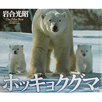Amazon.co.jp: 死ぬまでに見たい！絶景のシロクマ : 聖一, 澤井