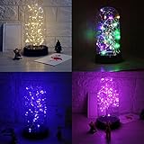 Miyinla　イルミネーションライト　電池式　クリスマス　ナイトライト コンセント　ホロウイン　LEDライト　ストリングライト 結婚式 誕生日