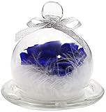 TEATSIGHT(ティートサイト) プリザーブドフラワー 枯れないお花 羽根のガラスドーム バラ1輪（青） スワロフスキー社製クリスタル1粒 クリアケース入り