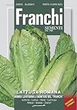 野菜の種 ロメインレタス BIONDA LENTISSIMA A MONTARE SEL."FRANCHI" D84/22