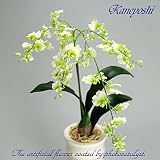胡蝶蘭 造花 光触媒 花 ギフト プレゼント 鉢植え 鉢 オンシジューム ホワイトグリーン 1本立て 【ギフトラッピンク・ギフトカード対応】