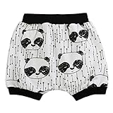 かぼちゃパンツ キッズインナー ベビー服 トレーニングパンツ バブル ボトム バルーン パンツ かぼちゃ か ブルマ 出産祝い 新生児 ギフト 抗菌防臭 プリント ベビーパンツ 子どもショーツ 下着 