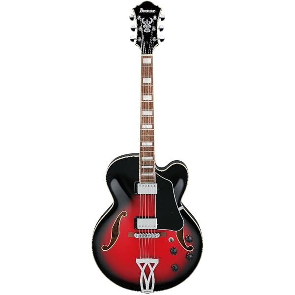 Amazon.co.jp: Ibanez AF100C ハードシェルケース : 楽器・音響機器