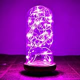 CrazyFire 30LED 5本　電池式LEDジュエリーライト 30球3m イルミネーション電飾 (銅線, パープル)