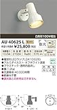 コイズミ アウトドアLEDスポットライト AU40625L