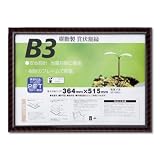 大仙 額縁 賞状額 金ラック R B3 樹脂製 シュリンクパック J335B4400