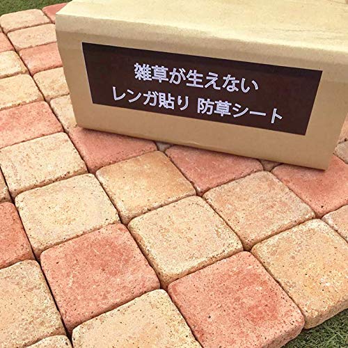 庭のレンガ敷きのdiyの費用をプロ業者と比較 リフォらん