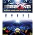 BIGBANG「BIGBANG JAPAN DOME TOUR 2013~2014 C（Blu-ray2枚組）」