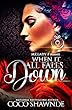 When it All Falls Down (English Edition)