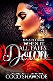 When it All Falls Down (English Edition)