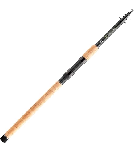 DAIWA Crossbeat SW 666TUL Fishing Rod : Amazon.com.au: Sports